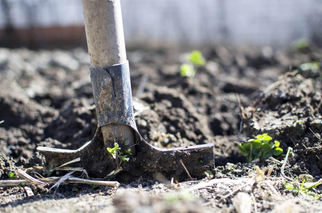 nwc de opstap moestuin